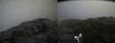 ./images/calvert/buxton2/20170712/buxton220170712_131536M.jpg