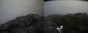 ./images/calvert/buxton2/20170712/buxton220170712_133538M.jpg