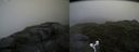 ./images/calvert/buxton2/20170712/buxton220170712_142536M.jpg