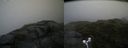 ./images/calvert/buxton2/20170712/buxton220170712_143534M.jpg