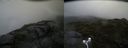 ./images/calvert/buxton2/20170712/buxton220170712_145036M.jpg