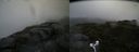./images/calvert/buxton2/20170712/buxton220170712_145533M.jpg