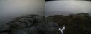 ./images/calvert/buxton2/20170712/buxton220170712_155536M.jpg