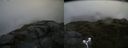 ./images/calvert/buxton2/20170712/buxton220170712_162536M.jpg