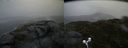./images/calvert/buxton2/20170712/buxton220170712_170034M.jpg