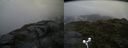 ./images/calvert/buxton2/20170712/buxton220170712_182035M.jpg