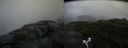./images/calvert/buxton2/20170712/buxton220170712_184036M.jpg