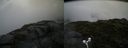 ./images/calvert/buxton2/20170712/buxton220170712_191034M.jpg