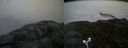 ./images/calvert/buxton2/20170712/buxton220170712_204038M.jpg