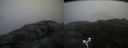 ./images/calvert/buxton2/20170712/buxton220170712_204539M.jpg