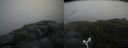 ./images/calvert/buxton2/20170715/buxton220170715_152748M.jpg