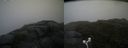 ./images/calvert/buxton2/20170715/buxton220170715_164143M.jpg