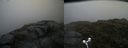 ./images/calvert/buxton2/20170715/buxton220170715_174643M.jpg