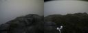 ./images/calvert/buxton2/20170715/buxton220170715_180643M.jpg