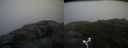 ./images/calvert/buxton2/20170715/buxton220170715_182143M.jpg