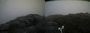 ./images/calvert/buxton2/20170715/buxton220170715_184643M.jpg