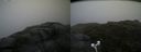 ./images/calvert/buxton2/20170715/buxton220170715_190143M.jpg
