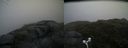 ./images/calvert/buxton2/20170715/buxton220170715_190652M.jpg