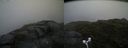 ./images/calvert/buxton2/20170715/buxton220170715_194643M.jpg