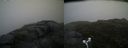 ./images/calvert/buxton2/20170715/buxton220170715_195242M.jpg