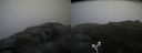 ./images/calvert/buxton2/20170715/buxton220170715_201645M.jpg
