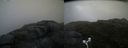 ./images/calvert/buxton2/20170715/buxton220170715_202646M.jpg