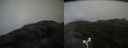 ./images/calvert/buxton2/20170716/buxton220170716_092643M.jpg