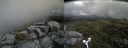 ./images/calvert/buxton2/20170716/buxton220170716_112643M.jpg