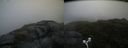 ./images/calvert/buxton2/20170716/buxton220170716_130154M.jpg