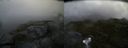 ./images/calvert/buxton2/20170721/buxton220170721_173636M.jpg