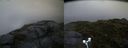 ./images/calvert/buxton2/20170722/buxton220170722_060526M.jpg