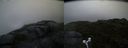 ./images/calvert/buxton2/20170722/buxton220170722_062529M.jpg