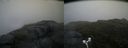 ./images/calvert/buxton2/20170722/buxton220170722_071529M.jpg