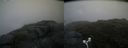 ./images/calvert/buxton2/20170722/buxton220170722_072529M.jpg