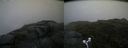 ./images/calvert/buxton2/20170722/buxton220170722_074528M.jpg