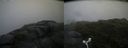 ./images/calvert/buxton2/20170722/buxton220170722_083529M.jpg