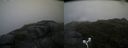 ./images/calvert/buxton2/20170722/buxton220170722_084029M.jpg