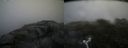 ./images/calvert/buxton2/20170722/buxton220170722_110026M.jpg
