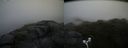./images/calvert/buxton2/20170722/buxton220170722_134529M.jpg