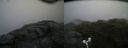 ./images/calvert/buxton2/20170722/buxton220170722_140535M.jpg
