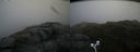 ./images/calvert/buxton2/20170722/buxton220170722_143028M.jpg
