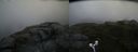 ./images/calvert/buxton2/20170722/buxton220170722_144528M.jpg