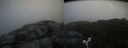 ./images/calvert/buxton2/20170723/buxton220170723_081101M.jpg