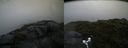 ./images/calvert/buxton2/20170729/buxton220170729_072433M.jpg