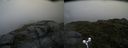 ./images/calvert/buxton2/20170729/buxton220170729_073424M.jpg