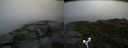 ./images/calvert/buxton2/20170729/buxton220170729_080924M.jpg