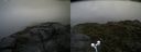 ./images/calvert/buxton2/20170729/buxton220170729_081928M.jpg