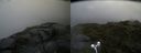 ./images/calvert/buxton2/20170729/buxton220170729_100429M.jpg