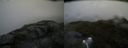 ./images/calvert/buxton2/20170729/buxton220170729_102428M.jpg