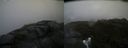 ./images/calvert/buxton2/20170729/buxton220170729_110426M.jpg